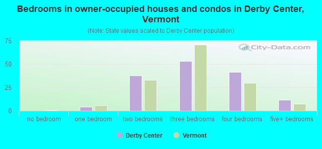 Bedrooms in owner-occupied houses and condos in Derby Center, Vermont