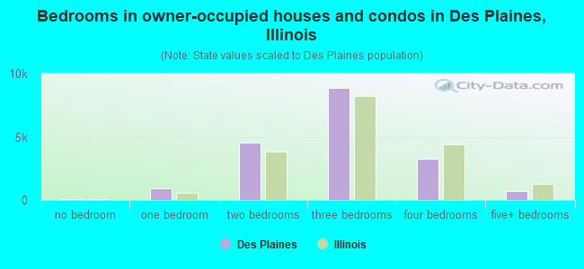 Bedrooms in owner-occupied houses and condos in Des Plaines, Illinois