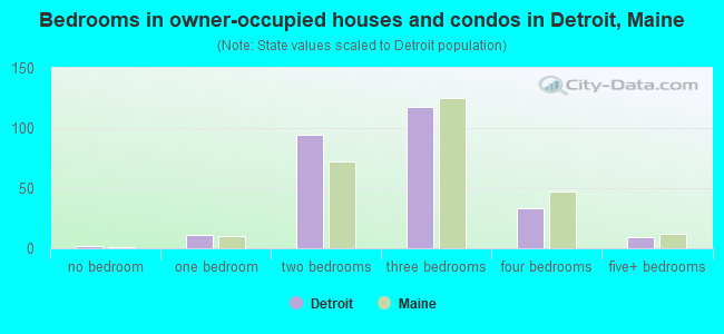 Bedrooms in owner-occupied houses and condos in Detroit, Maine