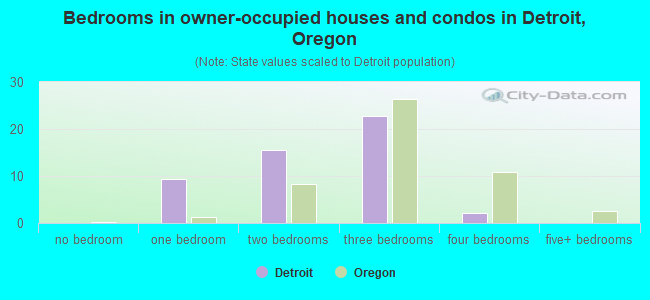 Bedrooms in owner-occupied houses and condos in Detroit, Oregon