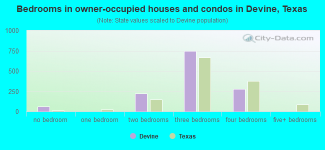 Bedrooms in owner-occupied houses and condos in Devine, Texas