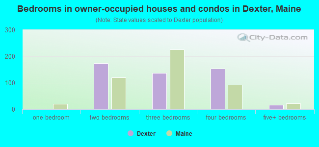 Bedrooms in owner-occupied houses and condos in Dexter, Maine