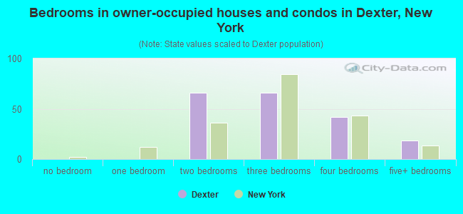 Bedrooms in owner-occupied houses and condos in Dexter, New York