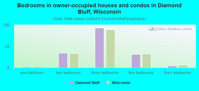 Bedrooms in owner-occupied houses and condos in Diamond Bluff, Wisconsin