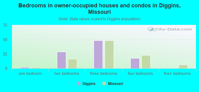 Bedrooms in owner-occupied houses and condos in Diggins, Missouri