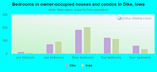 Bedrooms in owner-occupied houses and condos in Dike, Iowa