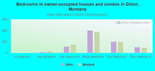 Bedrooms in owner-occupied houses and condos in Dillon, Montana