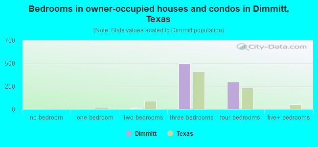 Bedrooms in owner-occupied houses and condos in Dimmitt, Texas