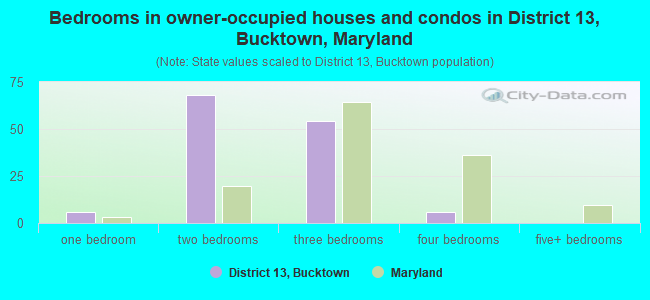 Bedrooms in owner-occupied houses and condos in District 13, Bucktown, Maryland