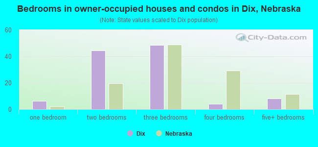 Bedrooms in owner-occupied houses and condos in Dix, Nebraska