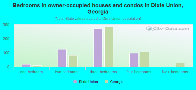 Bedrooms in owner-occupied houses and condos in Dixie Union, Georgia