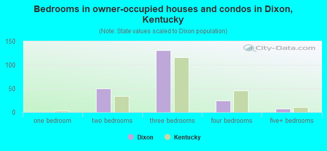 Bedrooms in owner-occupied houses and condos in Dixon, Kentucky