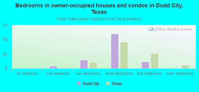 Bedrooms in owner-occupied houses and condos in Dodd City, Texas