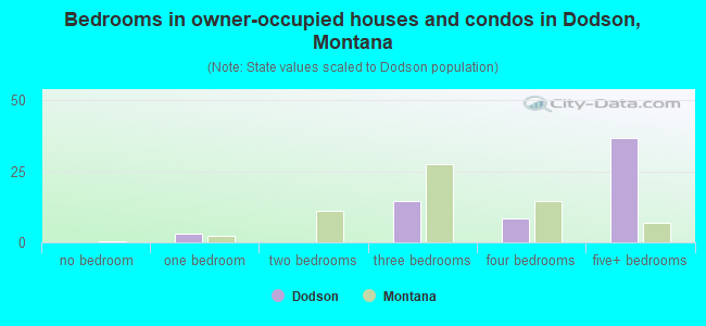 Bedrooms in owner-occupied houses and condos in Dodson, Montana
