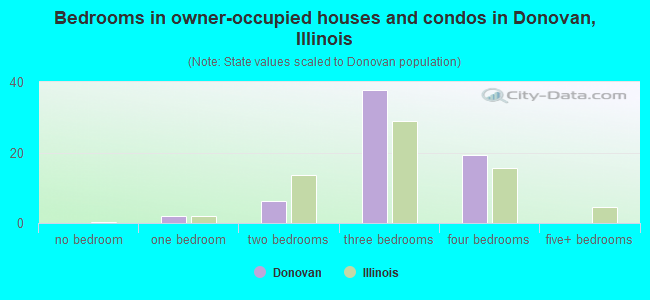 Bedrooms in owner-occupied houses and condos in Donovan, Illinois