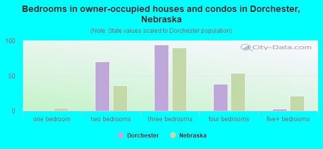 Bedrooms in owner-occupied houses and condos in Dorchester, Nebraska