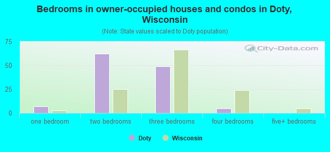Bedrooms in owner-occupied houses and condos in Doty, Wisconsin