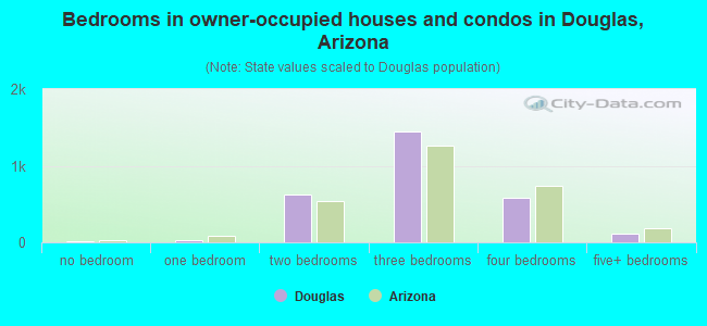 Bedrooms in owner-occupied houses and condos in Douglas, Arizona