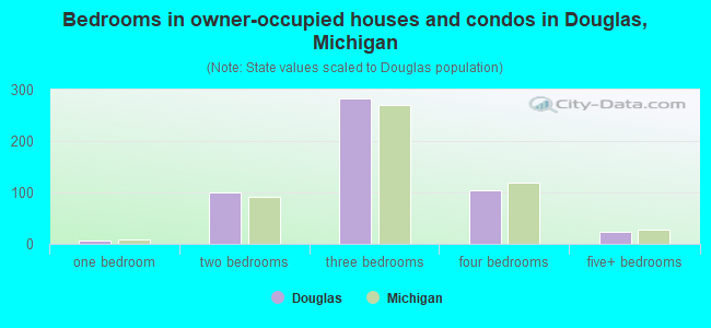 Bedrooms in owner-occupied houses and condos in Douglas, Michigan