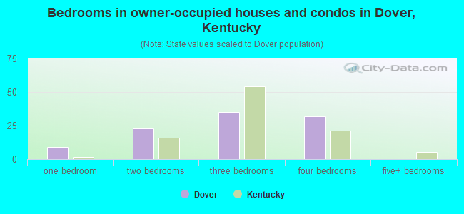 Bedrooms in owner-occupied houses and condos in Dover, Kentucky