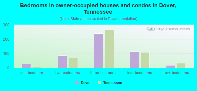 Bedrooms in owner-occupied houses and condos in Dover, Tennessee