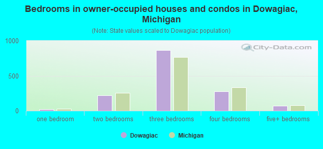 Bedrooms in owner-occupied houses and condos in Dowagiac, Michigan