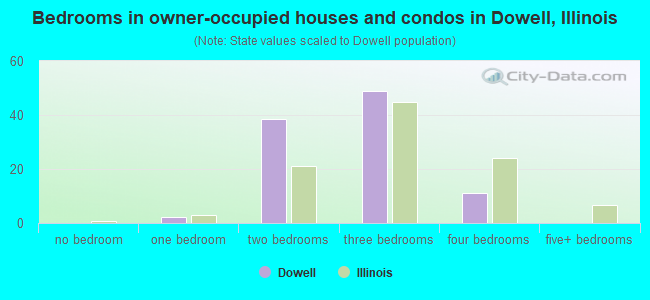 Bedrooms in owner-occupied houses and condos in Dowell, Illinois