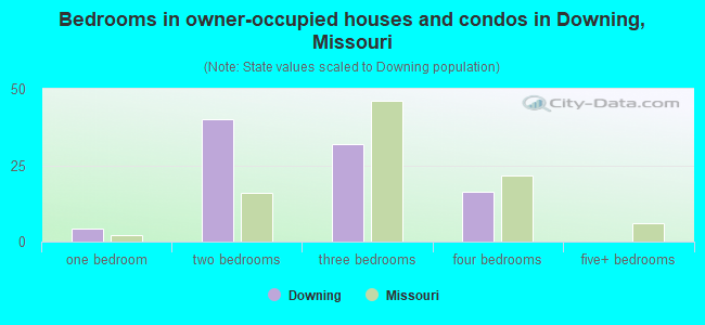 Bedrooms in owner-occupied houses and condos in Downing, Missouri