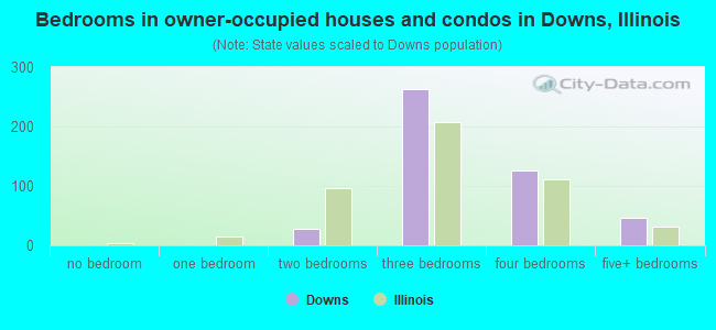 Bedrooms in owner-occupied houses and condos in Downs, Illinois