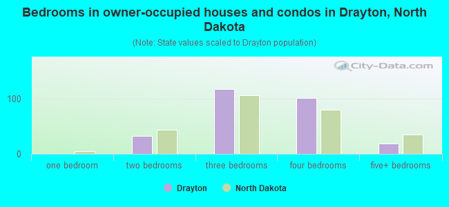 Bedrooms in owner-occupied houses and condos in Drayton, North Dakota