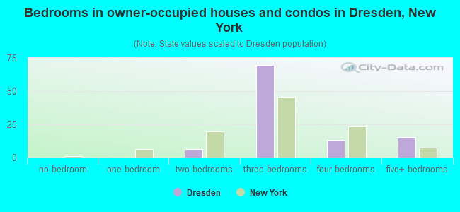 Bedrooms in owner-occupied houses and condos in Dresden, New York