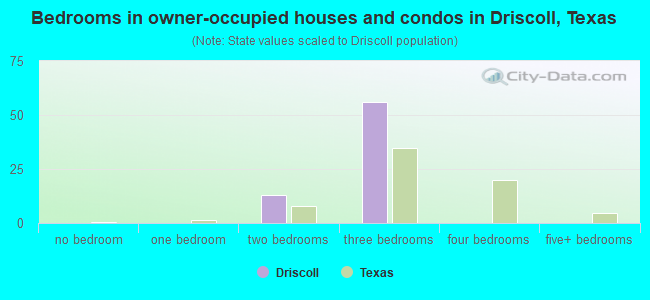 Bedrooms in owner-occupied houses and condos in Driscoll, Texas