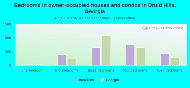 Bedrooms in owner-occupied houses and condos in Druid Hills, Georgia