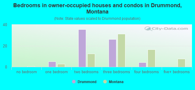 Bedrooms in owner-occupied houses and condos in Drummond, Montana