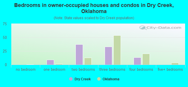 Bedrooms in owner-occupied houses and condos in Dry Creek, Oklahoma