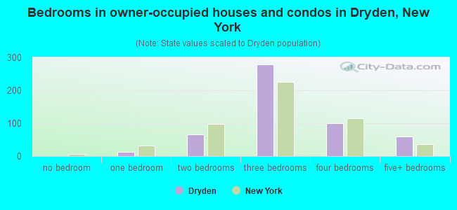 Bedrooms in owner-occupied houses and condos in Dryden, New York