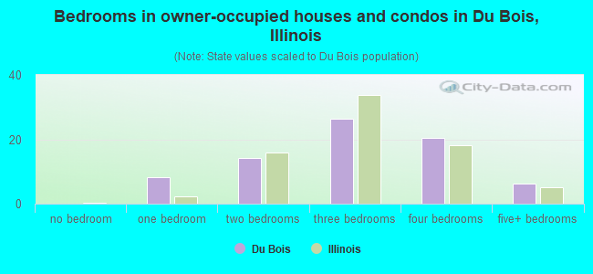 Bedrooms in owner-occupied houses and condos in Du Bois, Illinois