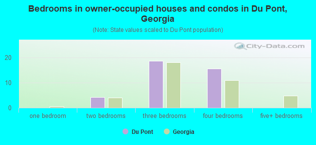 Bedrooms in owner-occupied houses and condos in Du Pont, Georgia