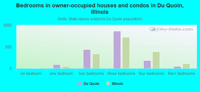 Bedrooms in owner-occupied houses and condos in Du Quoin, Illinois