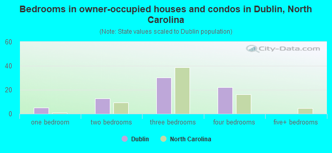 Bedrooms in owner-occupied houses and condos in Dublin, North Carolina