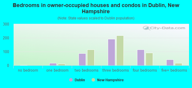 Bedrooms in owner-occupied houses and condos in Dublin, New Hampshire