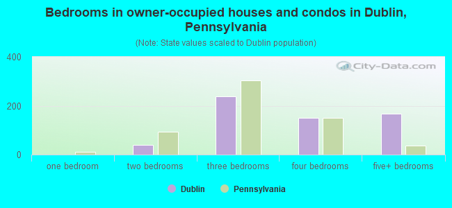 Bedrooms in owner-occupied houses and condos in Dublin, Pennsylvania