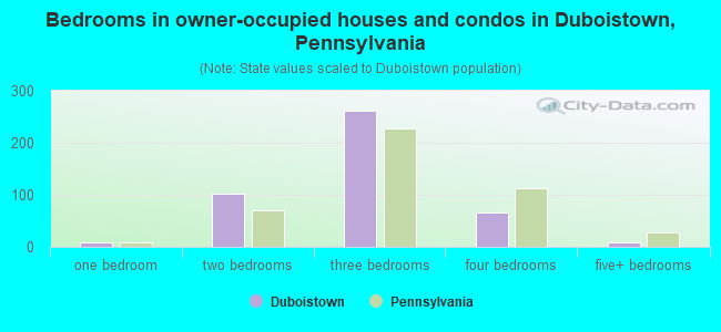 Bedrooms in owner-occupied houses and condos in Duboistown, Pennsylvania