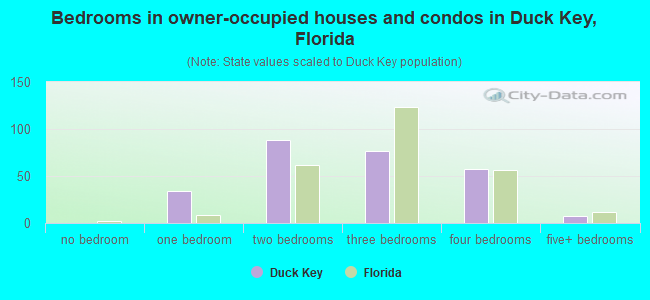 Bedrooms in owner-occupied houses and condos in Duck Key, Florida