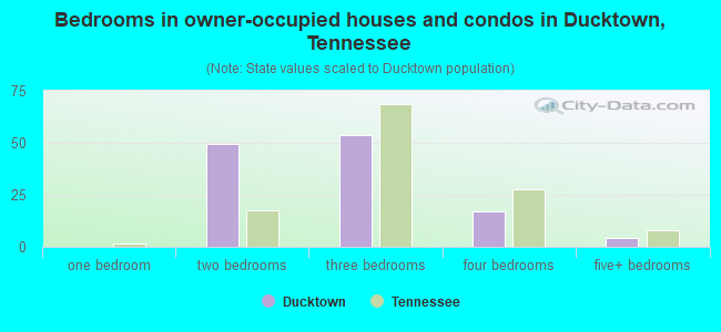 Bedrooms in owner-occupied houses and condos in Ducktown, Tennessee