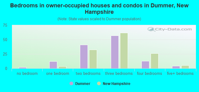 Bedrooms in owner-occupied houses and condos in Dummer, New Hampshire