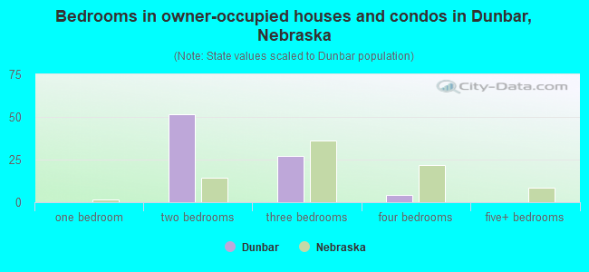 Bedrooms in owner-occupied houses and condos in Dunbar, Nebraska