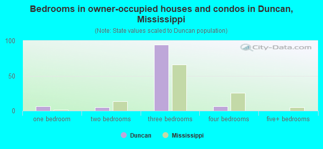 Bedrooms in owner-occupied houses and condos in Duncan, Mississippi