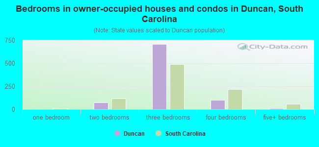 Bedrooms in owner-occupied houses and condos in Duncan, South Carolina