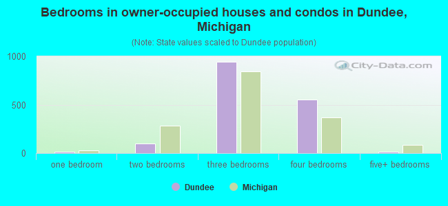 Bedrooms in owner-occupied houses and condos in Dundee, Michigan